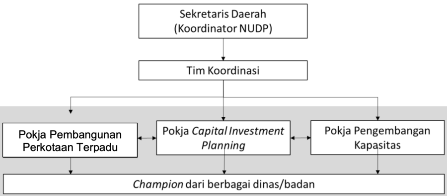 organisasi_nudp_daerah.png